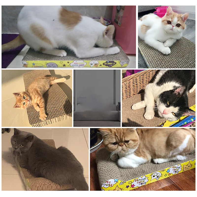 Cat Scraper Sofa Cushion